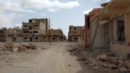 Les quartiers résidentiels de la ville de Palmyre ont été fuis par la quasi totalité des habitants, comme le montre cette photo prise dimanche 27 mars 2016. Les raids aériens ont précédé la reprise de la cité antique par l'armée de Bachar Al Assad appuyée par les Russes. (STR / AFP)