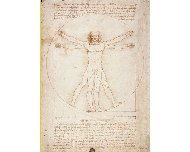 "L'Homme de Vitruve" de Léonard de Vinci, 1490, Gallerie dell'Accademia, Venise (© Luisa Ricciarini/Leemage / AFP)