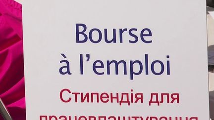 Guerre en Ukraine : la mairie de Cannes propose 200 emplois aux réfugiées