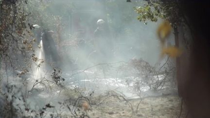 Incendies en Gironde : les pompiers veillent au grain