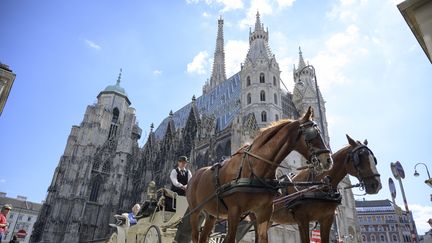 La cathédrale Saint-Etienne à Vienne, en Autriche, le 3 septembre 2019.&nbsp; (JOE KLAMAR / AFP)