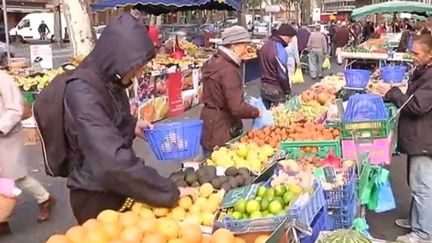 Premier jour de grand froid à Toulouse