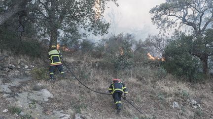 Des pompiers interviennent sur un incendie dans les Pyrénées-Orientales, le 16 avril 2023. (IDHIR BAHA / HANS LUCAS / AFP)