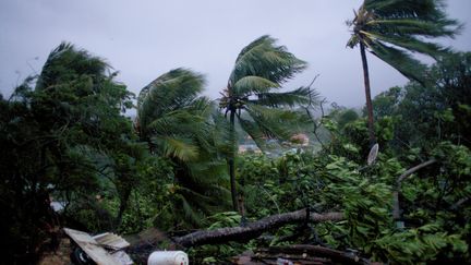 L'ouragan Maria, le 19 septembre 2017, à Petit-Bourg en Guadeloupe.&nbsp; (CEDRIK-ISHAM CALVADOS / AFP)