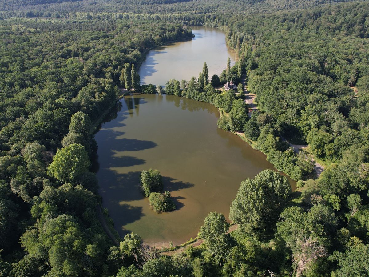 Analyse d'eau – mesurer les pesticides dans son étang, rivière, puits…