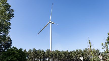 L'inauguration du premier parc éolien sans subvention de Belgique, à Gand, le mardi 14 juin 2022. (JAMES ARTHUR GEKIERE / BELGA MAG)