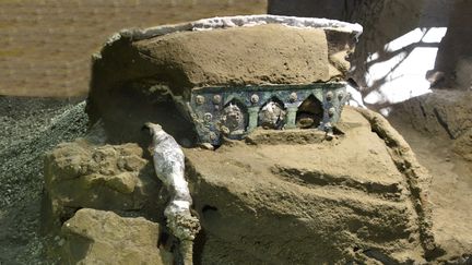 Un grand char de cérémonie a été découvert à quelques centaines de mètres au nord du parc archéologique de Pompéi (Italie). (POMPEI ARCHAEOLOGICAL PARK / VIA AFP)