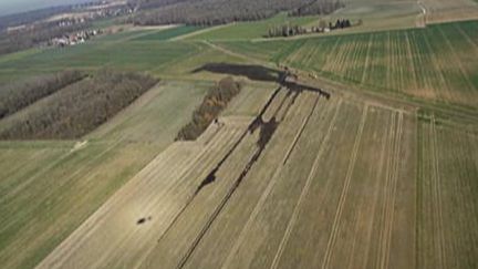 Yvelines : une fuite de pétrole menace la biodiversité