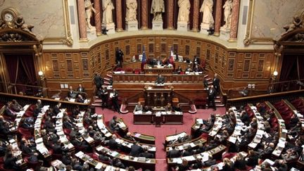 Vue sur l'hémicycle du Sénat, le 3 novembre 2008 (AFP - Jacques Demarthon)