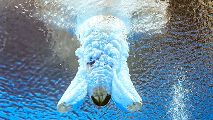 "Mon objectif dans la vie ? Devenir le bibendum Michelin, ne serait-ce qu'une seconde. Et pour ça, le plongeon m'est apparu comme la solution la plus simple." (FRANCOIS-XAVIER MARIT / AFP)