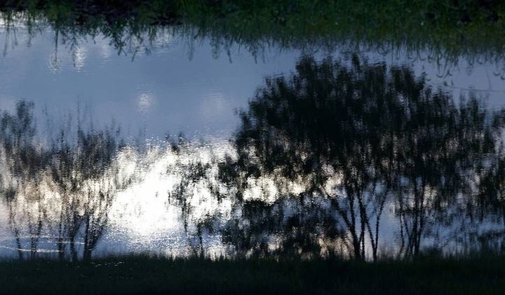 Ombres sur l&#039;eau
 (Ahae)