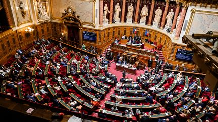 L'hémicycle du Sénat au Palais du Luxembourg, à Paris, le 27 juillet 2022. (ADRIEN FILLON / HANS LUCAS / AFP)