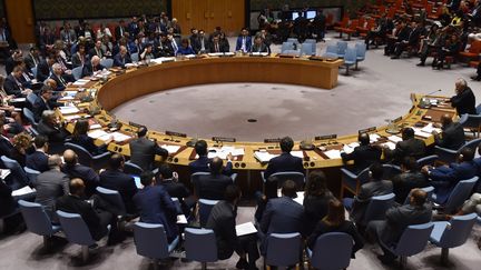 Le Conseil de sécurité de l'ONU se réunit à New York (Etats-Unis), le 14 avril 2018.&nbsp; (HECTOR RETAMAL / AFP)