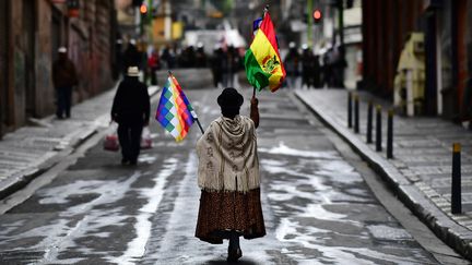 Une partisane&nbsp;de l'ancien président&nbsp;Evo Morales lors d'une manifestation, le 14 novembre 2019, à La Paz en Bolivie. (RONALDO SCHEMIDT / AFP)