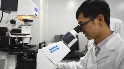 Le professeur Huang Junjiu à l'université Sun-Yat-Sen à Canton (Chine), le 2 avril 2016.&nbsp; (LU HANXIN / XINHUA)