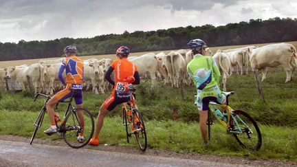 Trois coureurs du Tour de France en pleine pause-pipi, lors de l'&eacute;tape Troyes-Nancy, le 7 juillet 2005. (FRANCK FIFE / AFP)