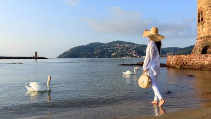 Mandelieu-la-Napoule, un petit coin de paradis à quelques encablures de la Croisette. (MOIRENC CAMILLE)