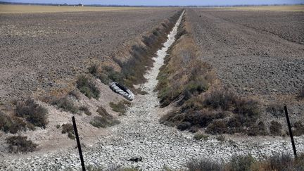 Champs de cultures, dans le parc national de Doñana, dans le sud de l'Espagne. En mai 2023, les réserves d'eau sont tombées à environ 25% dans les deux régions les plus touchées : l'Andalousie au sud et la Catalogne au nord-est. (CRISTINA QUICLER / AFP)