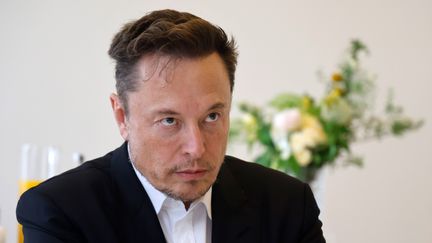 Le patron de Twitter et Tesla, Elon Musk, le 15 mai 2023 à Versailles (Yvelines), à l'occasion du sommet Choose France. (LUDOVIC MARIN / POOL / AFP POOL)