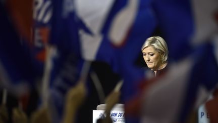 Marine Le Pen, lors d'un meeting, le 15 avril 2017, à Perpignan (Pyrénées-Orientales). (ALAIN JOCARD / AFP)