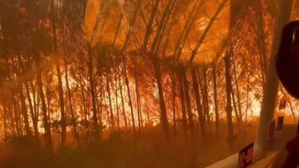 Incendies en Gironde et dans les Landes : le feu toujours très virulent, la solidarité s'organise