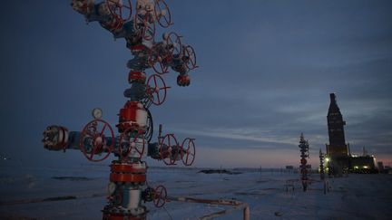 Le site Arctic LNG 2,&nbsp;qui exploite du gaz naturel liquéfié (GNL) sur la péninsule de Gydan, en Russie.&nbsp;TotalEnergie détient une participation directe de 10% aux côtés de son partenaire russe Novatek, dont il est actionnaire à hauteur de 19,4%. (NATALIA KOLESNIKOVA / AFP)