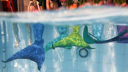 Des &eacute;tudiantes sont assises sur le bord d'une piscine &agrave; Makati (Philippines) lors d'une cours donn&eacute; par la&nbsp;Philippines Mermaid Swimming Academy, pour apprendre &agrave; nager comme une sir&egrave;ne, le 8 juin 2013. (MAXPPP)