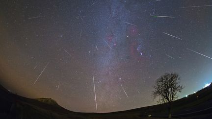 Pluie d'étoiles filantes dans le ciel de Roumanie, le 13 décembre 2017.&nbsp; (ALEX CONU / AFP)