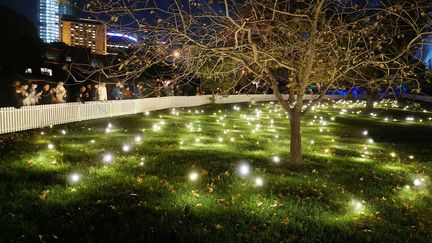 Une des œuvres du parcours lumineux au Parc de la Villette. (STUDIO TOER FIREFLY FIELD / VIVID)