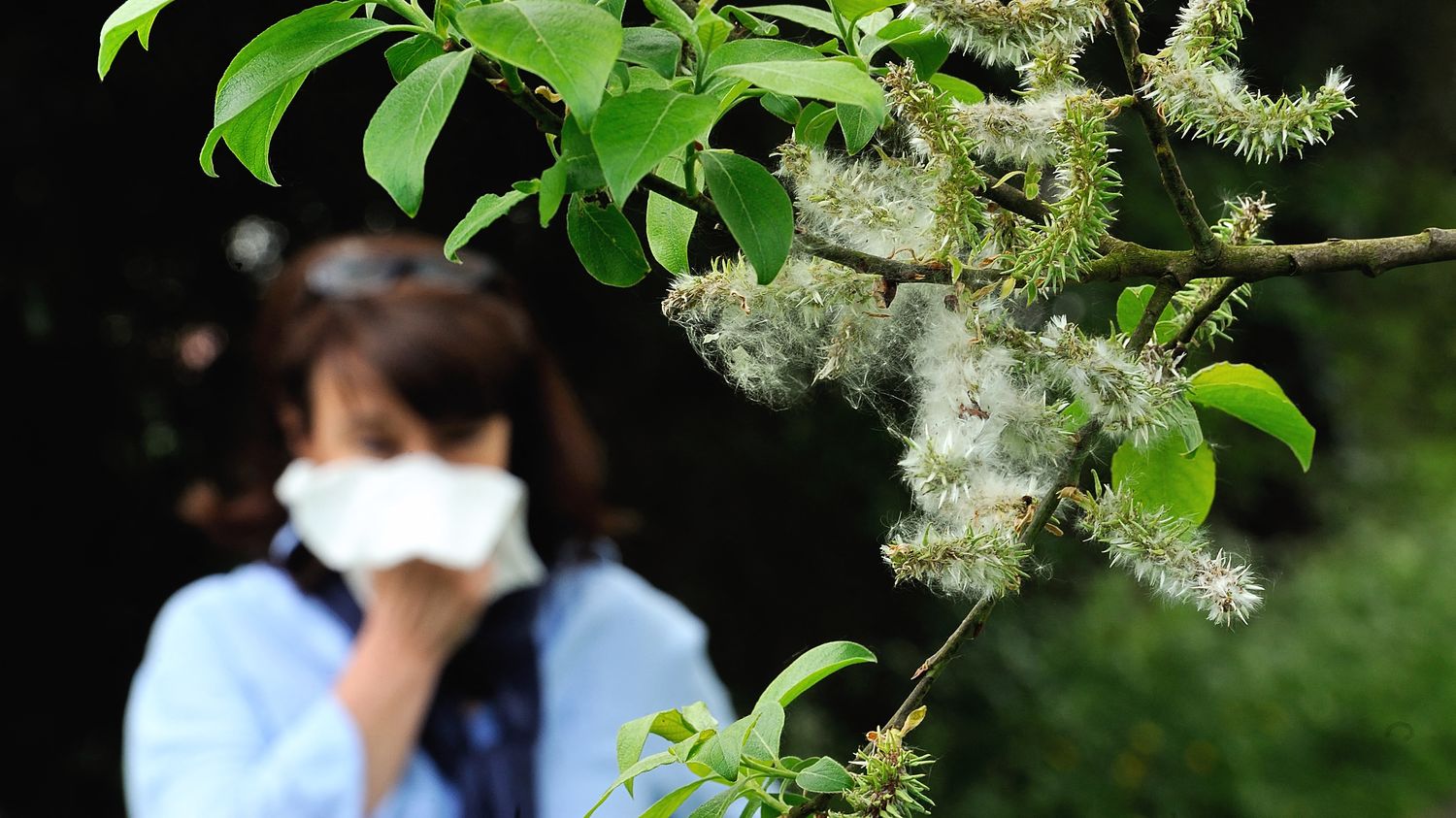 Allergies : le Réseau national de surveillance aérobiologique, faute de subventions, se dit menacé de disparition