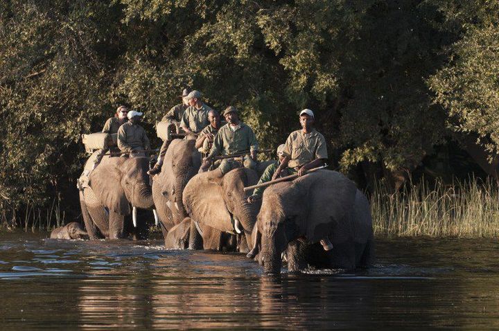 Le camp d'Abu dans le Delta de l'Okavango. Les éléphants attirent chaque année de nombreux touristes. C'est une source importante de devises pour le Botswana. (Photo AFP/Sergio Pitamitz)