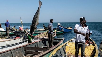 Depuis une dizaine d’années, le rocher héberge dans une ambiance de film de pirates, une communauté de pêcheurs venus des deux pays. Ici, les eaux regorgent de poissons, en l’occurrence des perches du Nil, que la surpêche a fait disparaître des eaux côtières.
 (YASUYOSHI CHIBA / AFP)