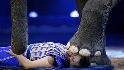 Un artiste se produit avec un &eacute;l&eacute;phant &agrave; l'occasion du 38&egrave;me festival du cirque de Monte Carlo &agrave; Monaco, le 21 janvier 2014. (ERIC GAILLARD  / REUTERS)