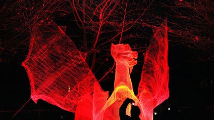 "Le dragon du parc de la T&ecirc;te d'Or", une des nombreuses installations expos&eacute;es lors de la F&ecirc;te des Lumi&egrave;res &agrave; Lyon, le 8 d&eacute;cembre 2011. (PHILIPPE JUSTE / LE PROGRES / MAXPPP)