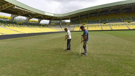 Le stade de football de la Beaujoire, à Nantes, est atteint comme d'autres stades d'une espèce de champignon qui brûle la pelouse et l'empèche de repousser depuis quelques semaines. (MARC ROGER / MAXPPP)