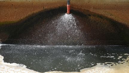 Un bassin de recyclage des eaux usées à El Segundo, en Californie (Etats-Unis). (ROBYN BECK / AFP)