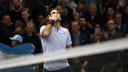 La joie de Juan Martin Del Potro (JONATHAN NACKSTRAND / AFP)