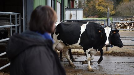 Une&nbsp;agricultrice dans son exploitation à Saint-Amand-les-Eaux (Hauts-de-France), le 25 novembre 2019.&nbsp; (PIERRE ROUANET / MAXPPP)