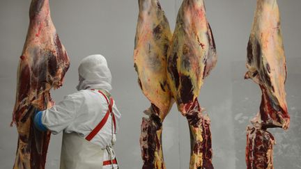 Des carcasses de cheval dans un abattoir en Roumanie. Un r&eacute;seau de trafiquants de viande de cheval a &eacute;t&eacute; d&eacute;mantel&eacute; lundi 16 d&eacute;cembre, dans le sud de la France et en Espagne. (DANIEL MIHAILESCU / AFP)