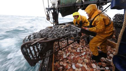 Reconfinement : les pêcheurs des coquilles Saint-Jacques dans l'incertitude