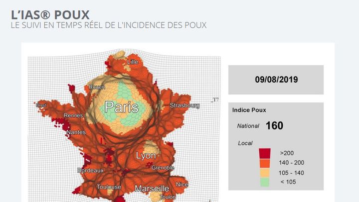 A l'approche de la rentrée scolaire, les poux prolifèrent dans certaines zones, notamment les lieux touristiques.&nbsp; (CAPTURE ECRAN / OPENHEALTH)