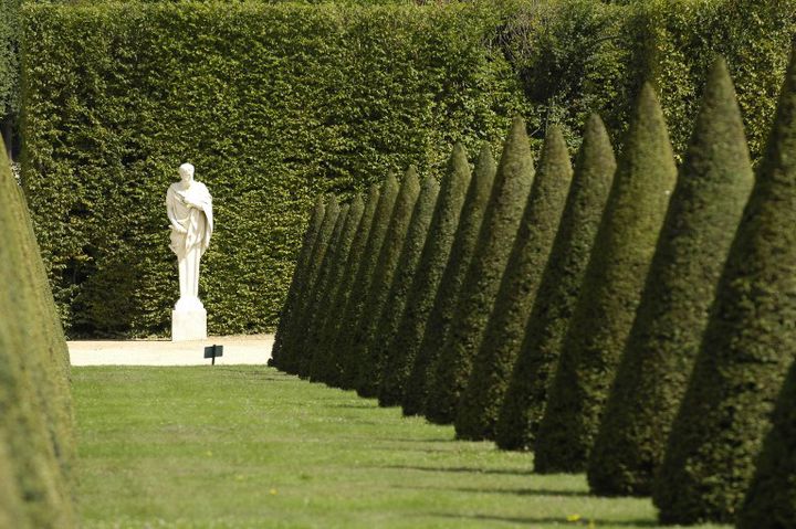 Perspective donnant sur une statue dans un jardin de verdure à Versailles
 (Gérard Guittot / Photononstop)