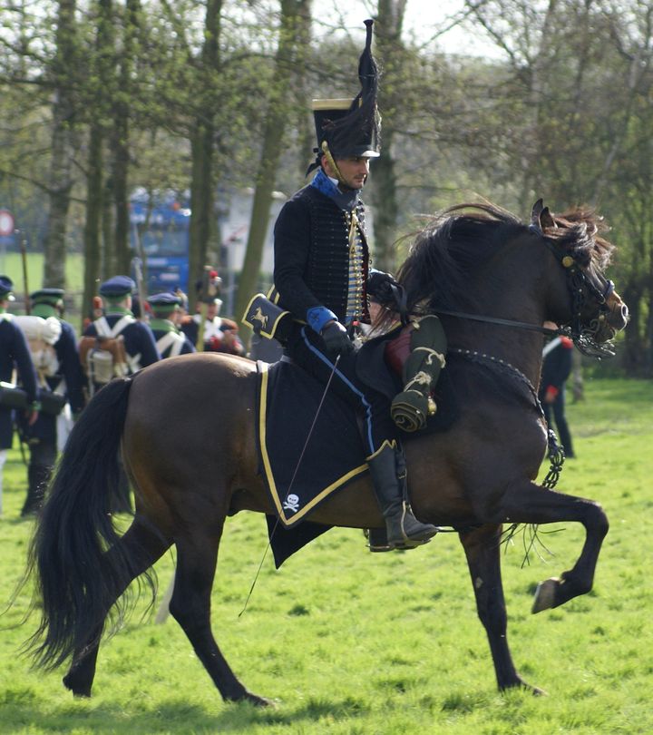 Micha&euml;l Sadde en tenue de hussard noir de Brunswick lors d'une reconstitution Ier Empire. (MICHAËL SADDE )