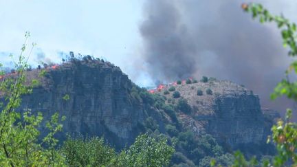 Incendies en Ardèche : plus de 900 hectares brûlés (FRANCE 3)