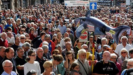 Des manifestants défilent à Lannion (Côtes-d'Armor) contre l'extraction de sable dans la baie, le 11 septembre 2016. (FRED TANNEAU / AFP)