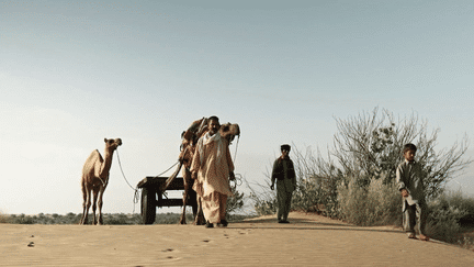 Inde : à la découverte du désert du Thar, le plus peuplé au monde (France 2)