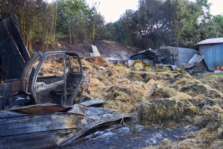 Une vingtaine de&nbsp;tonnes de paille et de foin ont brûlé. (ZOO DE LA PALMYRE)