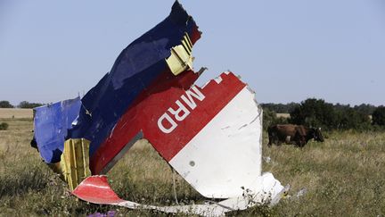 &nbsp; (Sur le site du crash... © REUTERS/Sergei Karpukhin)