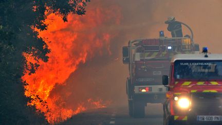 Les pompiers combattent le feu qui ravage les pins, pr&egrave;s de Lacanau (Gironde), le 16 ao&ucirc;t. (PIERRE ANDRIEU / AFP)