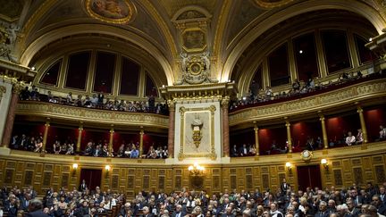 Dans l'h&eacute;micycle du S&eacute;nat, &agrave; Paris, le 1er octobre 2014. (ALAIN JOCARD / AFP)